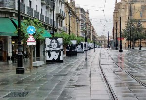 Un’immagine surreale del centro di Siviglia, dopo un acquazzone - Giovanni Coluccia