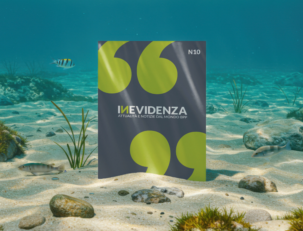 Anteprima rivista Inevidenza 10