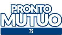 prontom-ts prontom-ts