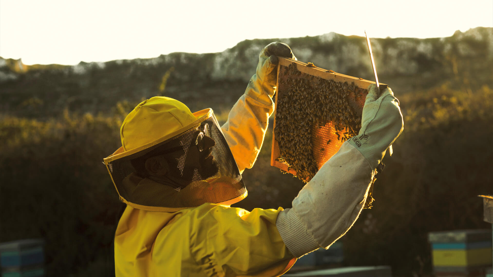2024 - campagna istituzionale BPP - la nostra forza nella comunità