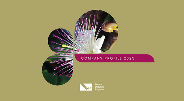 Company profile BPP 2025